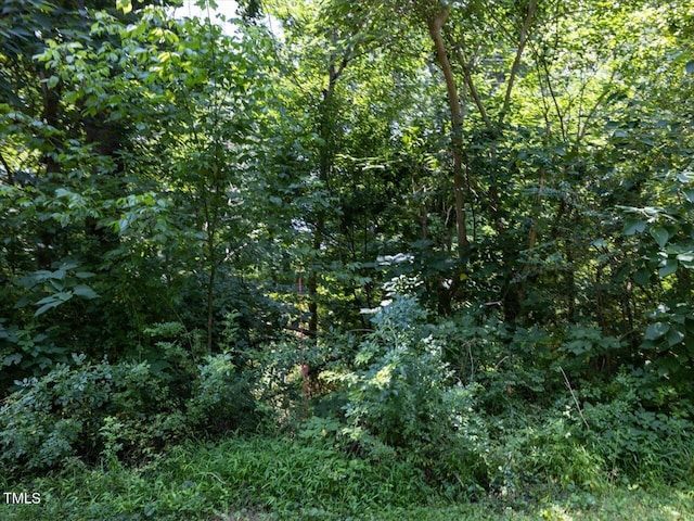 401 Buck Gunter Rd, Siler City, NC 27344 - photo 7