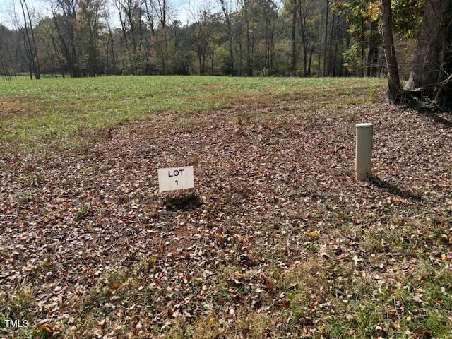 401 Buck Gunter Rd, Siler City, NC 27344 - photo 9
