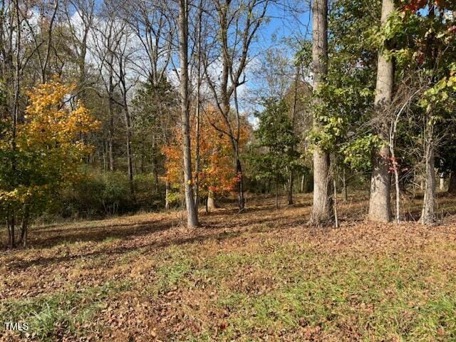 401 Buck Gunter Rd, Siler City, NC 27344 - photo 10