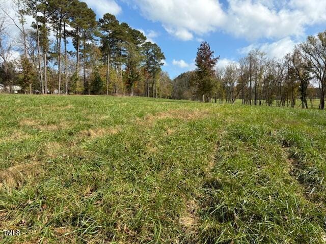 401 Buck Gunter Rd, Siler City, NC 27344 - photo 11