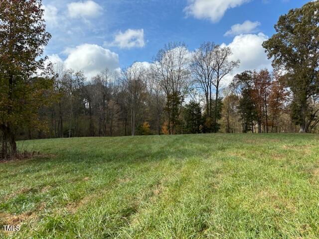 401 Buck Gunter Rd, Siler City, NC 27344 - photo 13