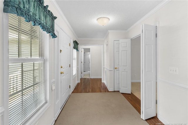 corridor with ornamental molding, wood finished floors, and a textured ceiling