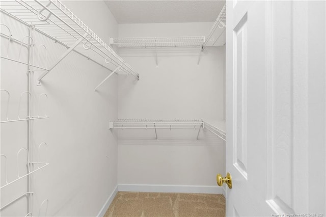 spacious closet featuring light carpet