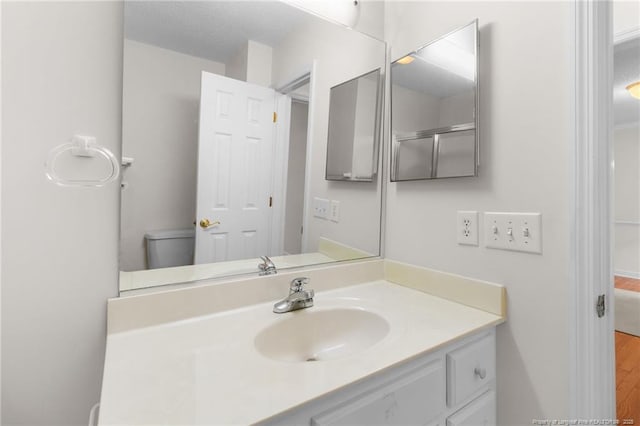 bathroom with vanity and wood finished floors