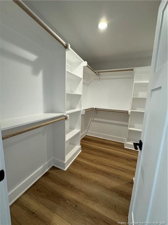 spacious closet featuring dark wood-style floors