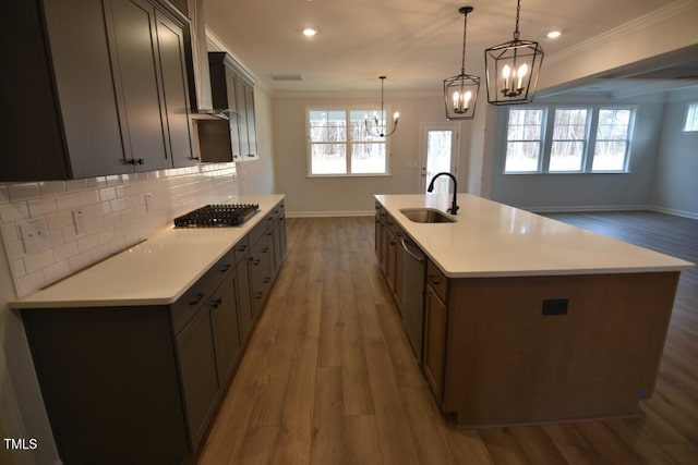 kitchen with pendant lighting, black gas stovetop, an island with sink, sink, and ornamental molding