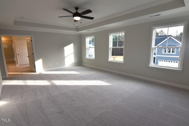 carpeted spare room featuring a wealth of natural light, a tray ceiling, and ornamental molding