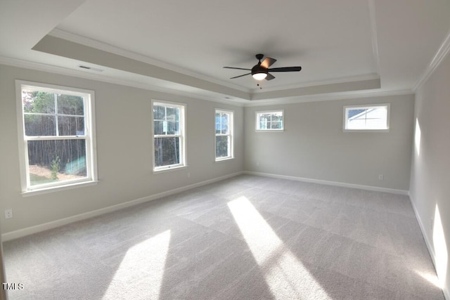 unfurnished room with ornamental molding, a healthy amount of sunlight, light colored carpet, and a raised ceiling