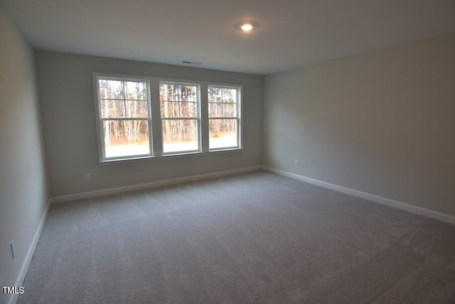 carpeted empty room with plenty of natural light