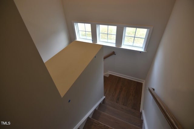 stairs with wood-type flooring