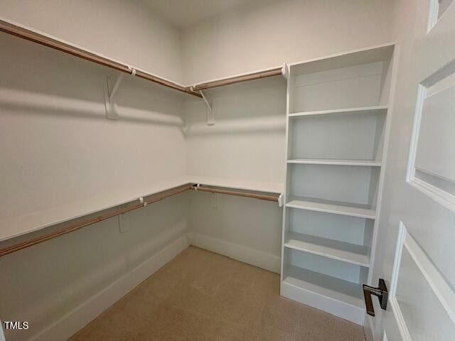 spacious closet featuring light colored carpet