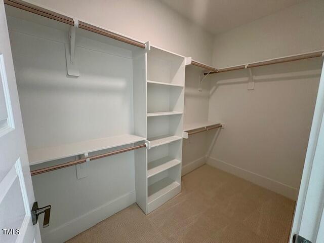 walk in closet with light carpet