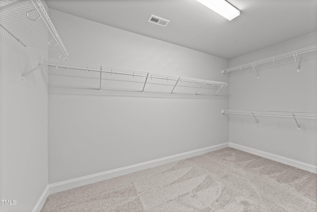 walk in closet featuring carpet floors