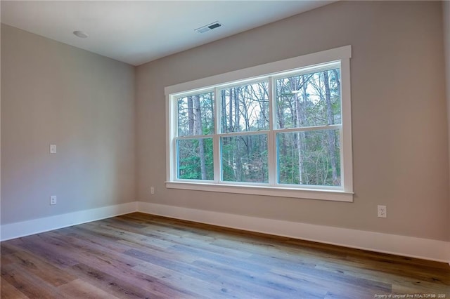 spare room featuring plenty of natural light and light hardwood / wood-style flooring