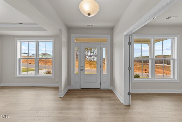 entrance foyer featuring plenty of natural light and light hardwood / wood-style flooring