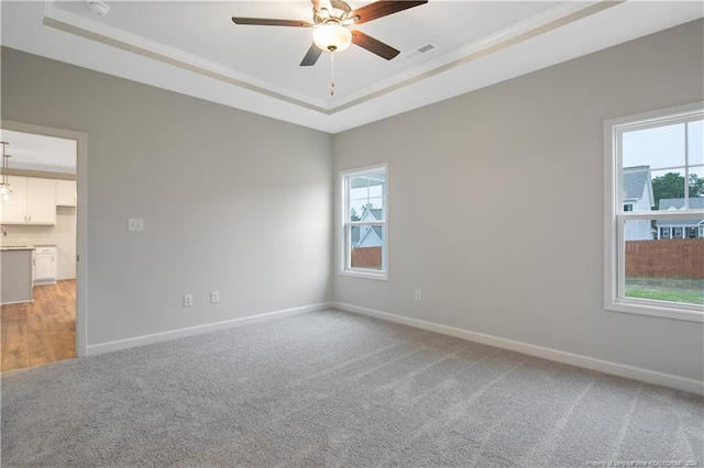 spare room with a raised ceiling, a wealth of natural light, and light colored carpet