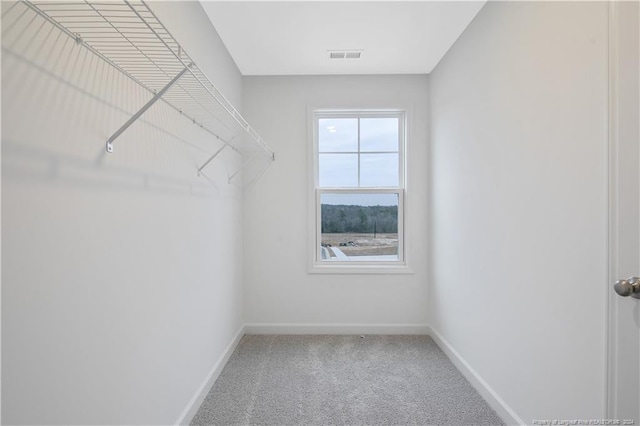 walk in closet featuring carpet flooring