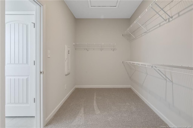 5513 Tall Timbers Dr, Fayetteville, NC 28311 - walk in closet with carpet