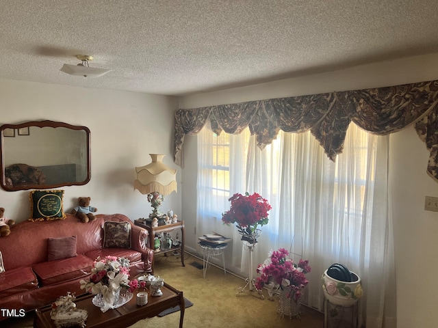 carpeted living room with a textured ceiling