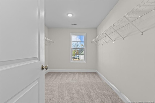 spacious closet featuring carpet flooring