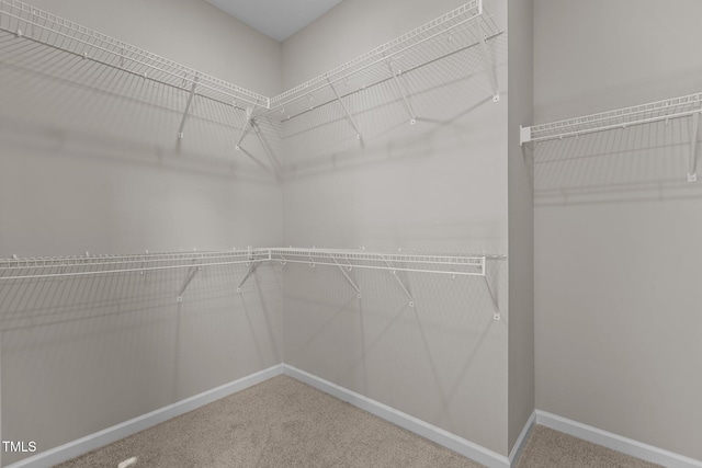 spacious closet with carpet