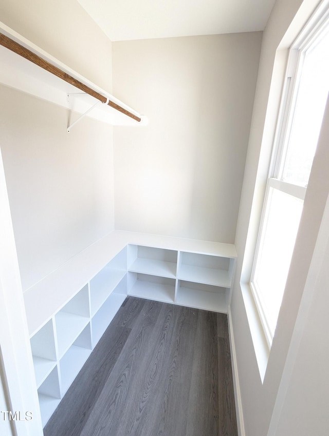 spacious closet with wood-type flooring