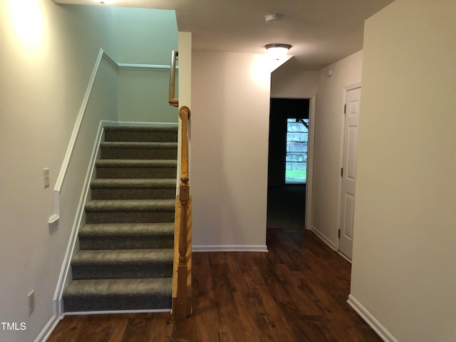 staircase with hardwood / wood-style floors