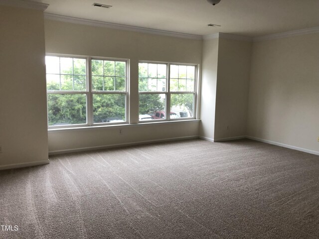 unfurnished room with crown molding and carpet flooring