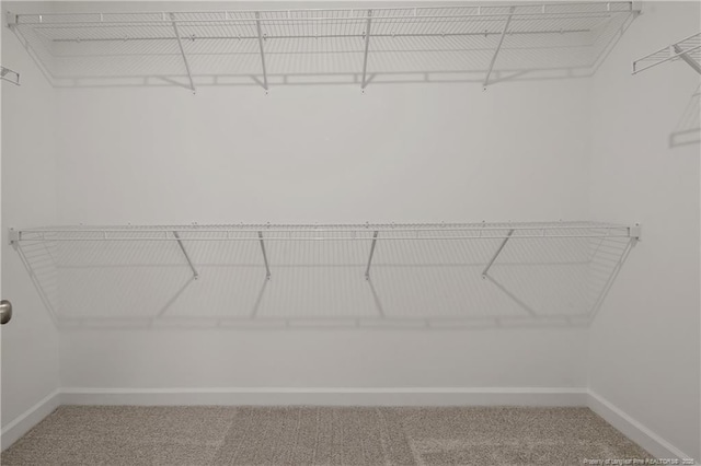 5411 Seedling Rd, Fayetteville, NC 28311 - walk in closet with carpet flooring