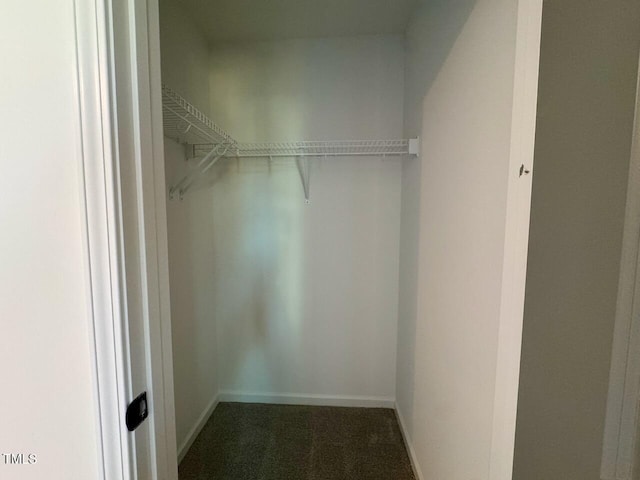 spacious closet featuring dark carpet