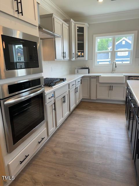 kitchen featuring light hardwood / wood-style floors, appliances with stainless steel finishes, sink, and ornamental molding