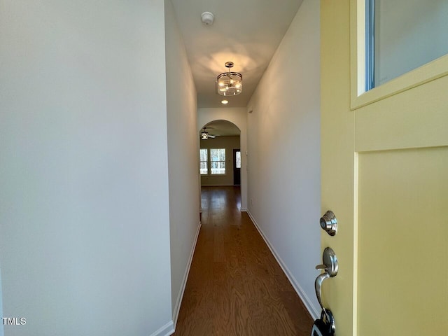 hallway featuring dark hardwood / wood-style floors