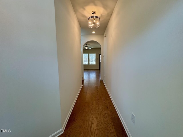 hallway with dark wood-type flooring