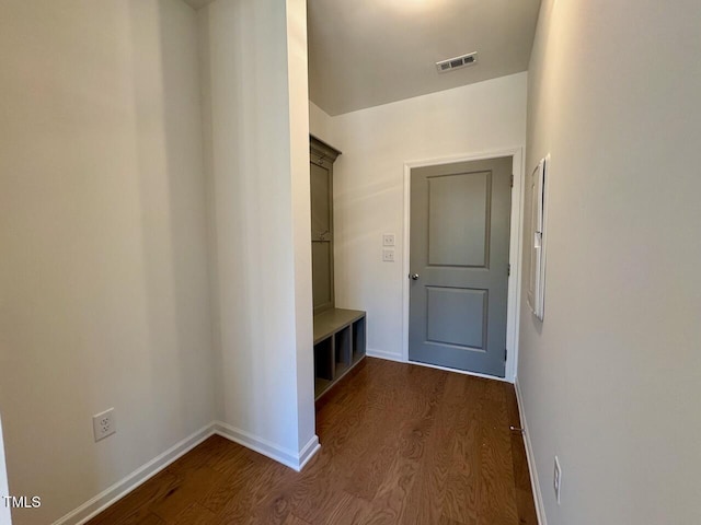 mudroom with dark wood-type flooring