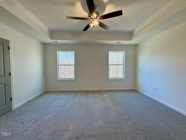 spare room featuring crown molding, a healthy amount of sunlight, and a tray ceiling