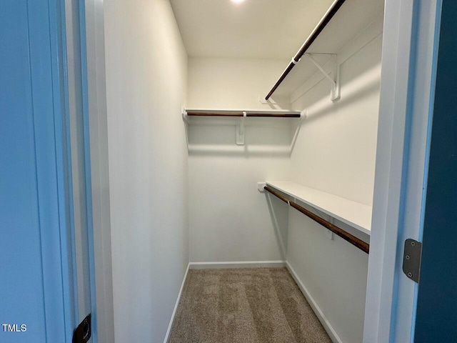 spacious closet with carpet flooring