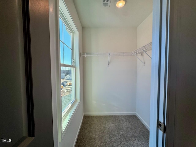 walk in closet with dark colored carpet