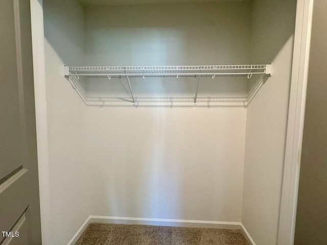 view of closet