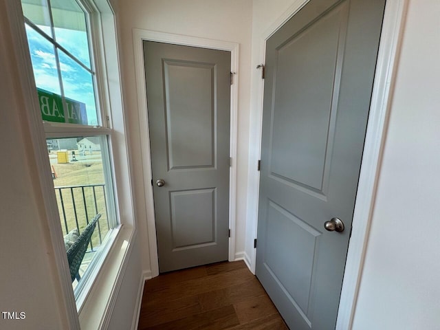 entryway featuring dark wood-style floors, a wealth of natural light, and baseboards