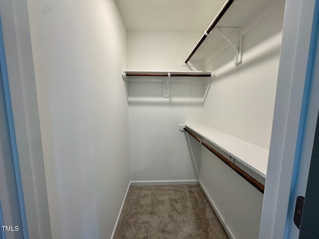 spacious closet with carpet floors