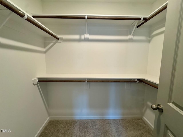 walk in closet featuring carpet flooring