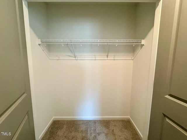 view of closet