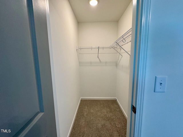 spacious closet with carpet flooring