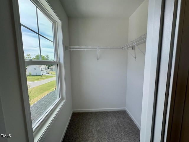 196 Grand Griffon Way, Lillington, NC 27546 - spacious closet featuring carpet flooring