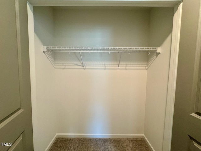 196 Grand Griffon Way, Lillington, NC 27546 - view of closet