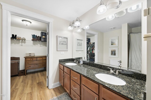 bathroom featuring wood-type flooring and double sink vanity