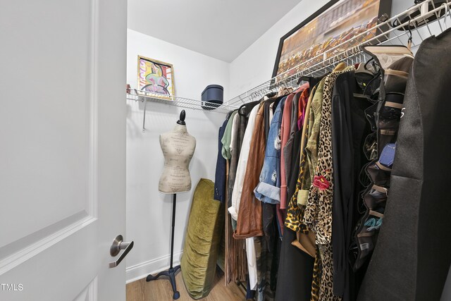 walk in closet featuring hardwood / wood-style flooring