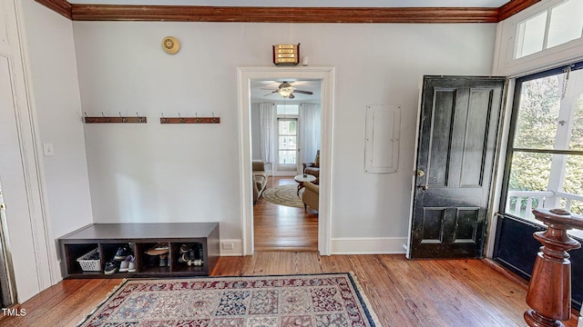 foyer entrance with a healthy amount of sunlight, crown molding, and wood finished floors