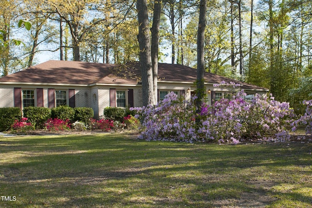 view of front of house with a front lawn and brick siding