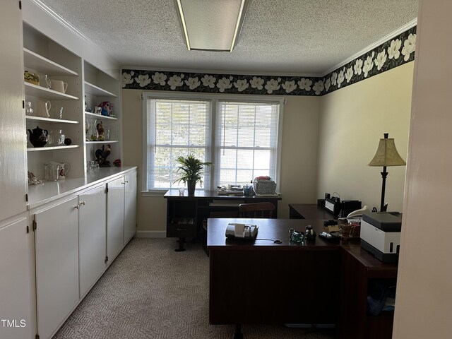 carpeted office featuring a textured ceiling